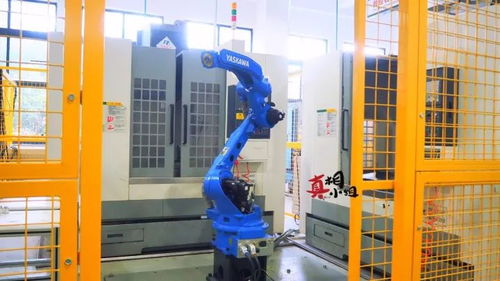 常州造星工厂 网络工程铸就本地小鲜肉崛起之路