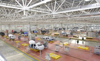 网络工程 胜洲的转变与未来展望