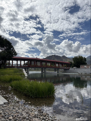 行走在高原之上 触摸新时代幸福西藏的脉搏